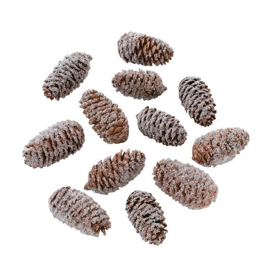 Craft Supplies * | Best Pirce Frosted Pine Cone Assortment 12 Pc.