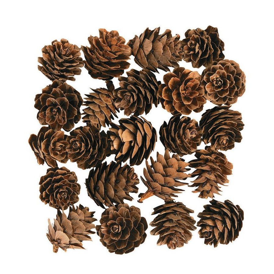 Craft Supplies * | Cheap Mini Pinecones 24 Pc.