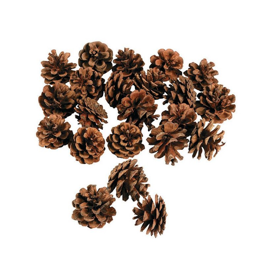 Craft Supplies * | Buy Mini Natural Pinecones 24 Pc.