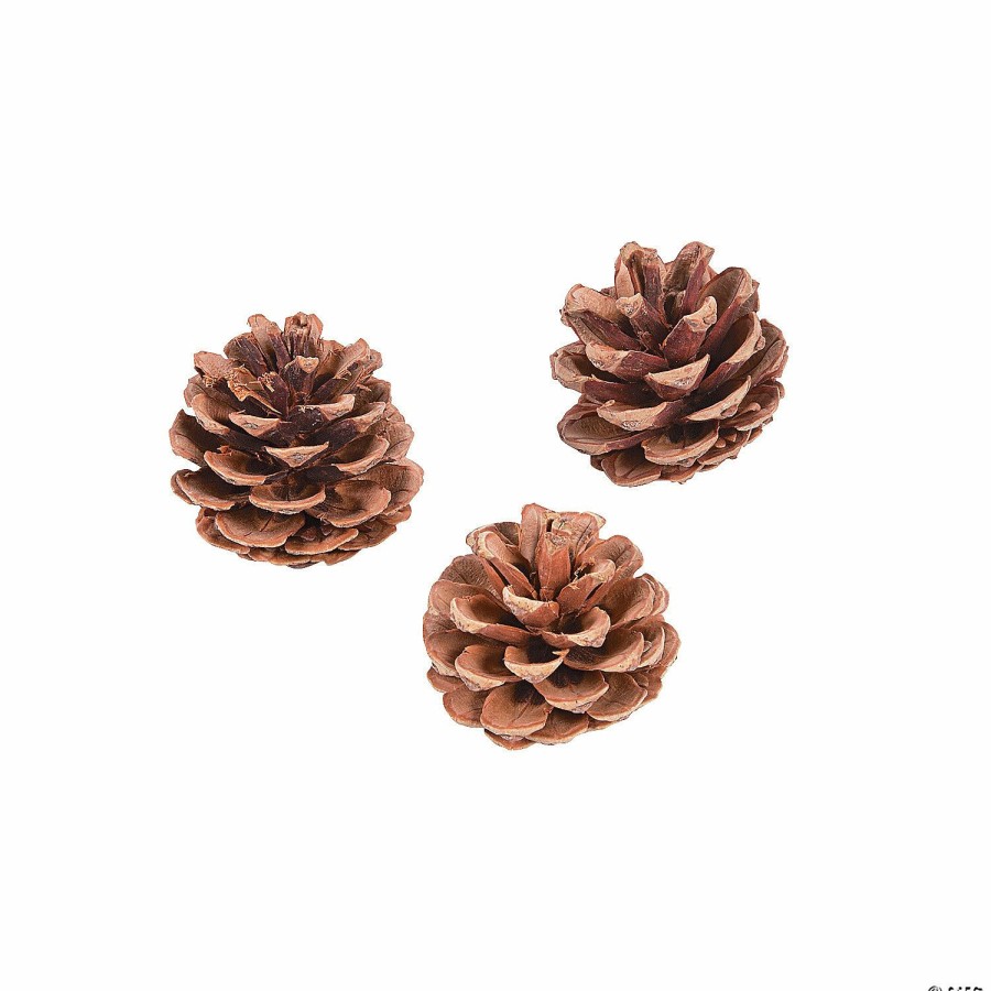 Craft Supplies * | Discount Natural Pinecones 12 Pc.